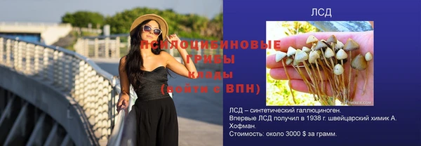 кристаллы Дмитров