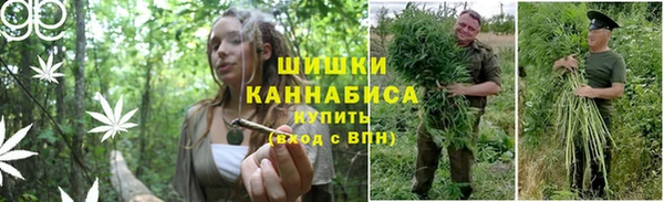 COCAINE Дмитриев