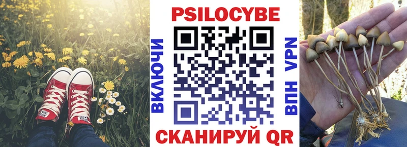 Псилоцибиновые грибы Magic Shrooms  blacksprut зеркало  Дятьково 